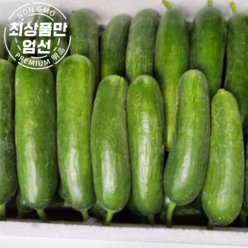 국내산 미니오이 중간크기 가시없이 부드러운 다이어트 오이 2kg 4kg, 매끈한 미니오이 2kg(12cm크기), 1개