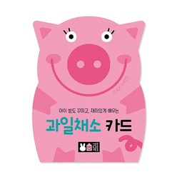 블루래빗 플래시카드-과일채소카드