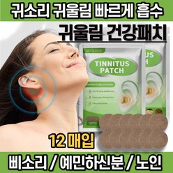 [당일출고] 본초 한방 귀울림 건강패치 귀 삐소리 실버, 12매입, 1팩