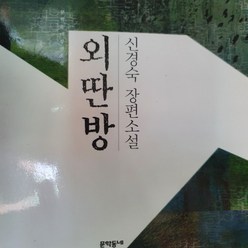 외딴방/신경숙.문학동네 .2009(상)