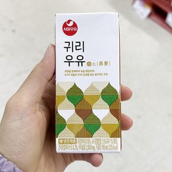 서울우유 귀리우유 190ml x 5개, 아이스보냉백포장