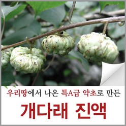 신토불이약초 개다래 즙 충영 열매 진액 90ml 60포, 60개