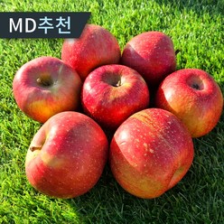 햇 부사 사과 가정용 경북 꿀사과 당도보장, 1박스, 3kg 한입과(18-21과)