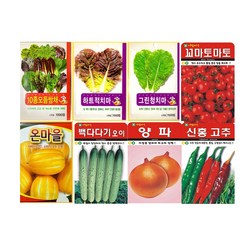 SN월드 뿌리채소 씨앗 무 당근 양파 알타리무 비트 콜라비 과일무, 자색당근