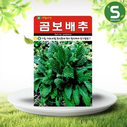 솔림텃밭몰 곰보배추씨앗 1000립 배추씨앗 쌈채소 곰보배추, 1개