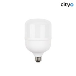 씨티 LED전구 글러브 30W E26소켓 크림벌브 전구 보안등, 주광색(하얀빛), 1개
