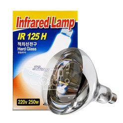 일광 적외선 램프 250W E26 열전구 (10개입), 전구색, 10개