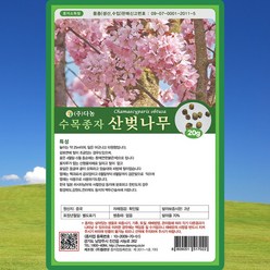 산벚나무 씨앗 산벚나무 씨 종자 20g, 1개