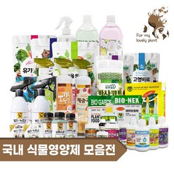 닥터플랜트