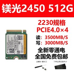 2230 SSD 1TB 스팀덱 교체 호환 Spotlight 2450 512G M2 PCIE40 m2 하드 디스크 솔리드 스테이트 데스크탑 노트북, 없음, 1. 마이크론 2450 512G