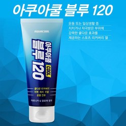 아쿠아쿨 블루 120/운동 전후 강력한 냉찜질(1개), 1개