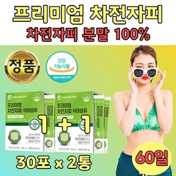 차전자피 분말 100% 수용성 불용성 섬유질 장건강 2통 질경이씨 화이바 어머니 엄마 식약처 인증 인정 배변 활동 도움 쾌변 숙변 차전초 파우더 프리미엄 스틱 스틱형 휴대용 추천