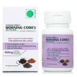 모닝컴스 포뮬라 다이제스트 소화 건강 60 capsules Morningcomes Digestive Wellness, 2통, 60캡슐