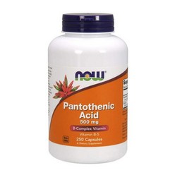 나우푸드 Now Foods Pantothenic Acid 판토텐산 NON GMO 500mg 캡슐 250개입, 250정, 1개