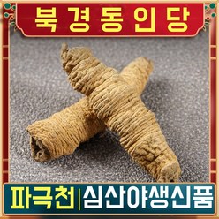 북경 동인당 야생 파극천 한방차 한방재료 250g, 2봉