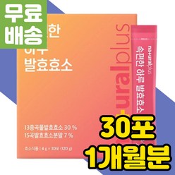 속편한 발효 곡물 효소 분말 가루 스틱 유산균 식품 제품 추천 탄수화물 단백질 분해 소화 보리 현미 대사 식이섬유 먹는 종합 복합 활성 맛있는 효소제 효소식 프로테아제 무첨가 혼합