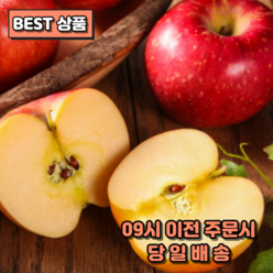 한입만더 경북 영주 부사 사과 정품 가정용, 1박스, 가정용5kg