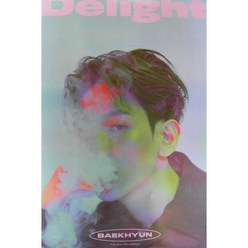 (브로마이드1종+지관통) 엑소 (EXO) 백현 - Delight Kit A 포스터