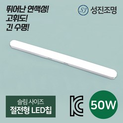 LED 성진 다용도 일자등 50W, 성진일자등50W, 주광색