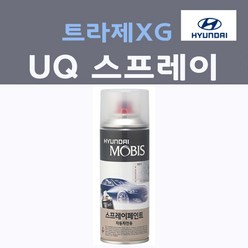 순정품 현대 트라제XG UQ 스프레이 붓펜 카페인트, 1개, 200ml