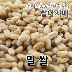 2023년 국산 밀쌀 우리밀 쌀아지매, 1개, 5kg