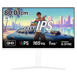 인터픽셀 IPQ3244W QHD FAST IPS 165Hz 32인치 게이밍 모니터 화이트 에디션, IPQ3244W(무결점), 81cm