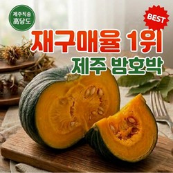 [재구매율1위] 제주 보우짱 포슬포슬 미니 밤호박