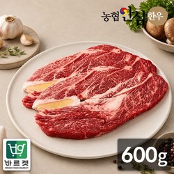 농협안심한우 1등급 한우 등심 600g(300g x 2팩), 600g, 1개