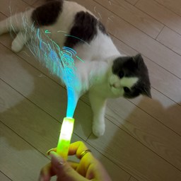 고양이 광섬유 스파클 낚싯대 장난감 CB-59