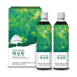 암웨이 지리산의 싱그러움 담은 라임트리 매실원 1L X 2병, 500ml, 3개