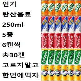 [한번에먹자] 탄산음료세트 250ml 5종 6캔씩 코카콜라업소 + 칠성사이다업소 + 웰치스포도 + 환타파인애플 + 써니텐오렌지 총30캔 캔음료수 모음, 혼합 x 30캔
