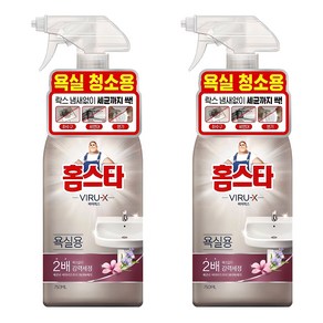 홈스타 바이럭스 세정제 욕실용, 750ml, 2개