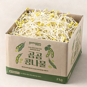 곰곰 콩나물