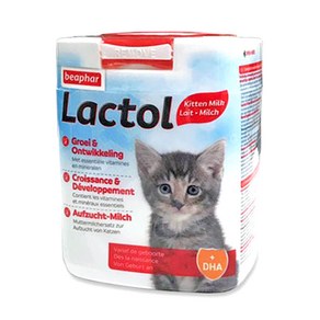 비아파 고양이 락톨 키튼 분유, 500g, 1개