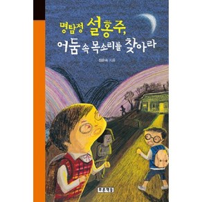 명탐정 설홍주 어둠 속 목소리를 찾아라, 푸른책들