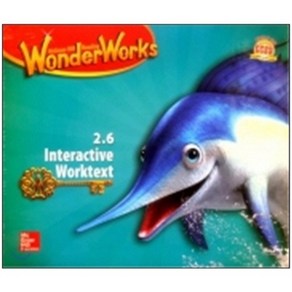 WondeWoks Package 2.6 (SB+Reades+CD), 투판즈