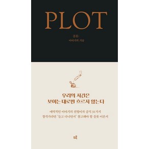 [드루]플롯 : 이야기의 기술, 드루, 에이미 존스