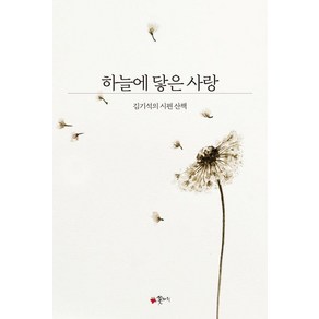 하늘에 닿은 사랑, 꽃자리, 김기석