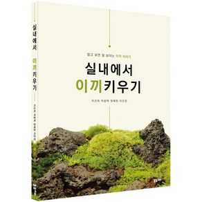 [플로라]실내에서 이끼키우기 : 알고 보면 잘 보이는 이끼 이야기