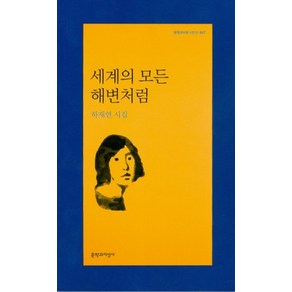 세계의 모든 해변처럼:하재연 시집, 문학과지성사, 하재연 저