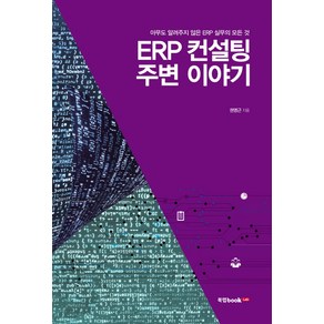 ERP 컨설팅 주변 이야기:아무도 알려주지 않은 ERP 실무의 모든 것