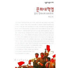 문화대혁명:중국 현대사의 트라우마, 살림, 백승욱 저