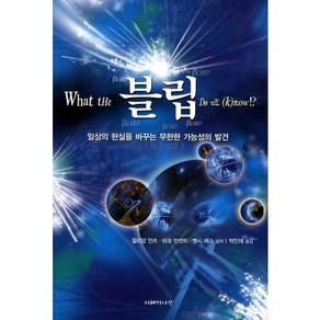 블립(WHAT THE BLEEP DO WE KNOW):일상의 현실을 바꾸는 무한한 가능성의 발견, 지혜의나무, 윌리암 안츠,마크 빈센트,벳시 체스 공저/박인재 역