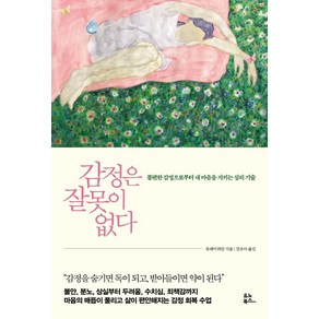 감정은 잘못이 없다:불편한 감정으로부터 내 마음을 지키는 심리 기술, 유노북스, 류페이쉬안