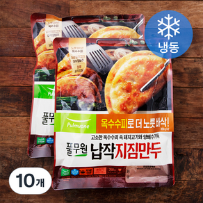 풀무원 납작 지짐만두 (냉동), 350g, 10개