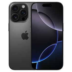 Apple 정품 아이폰 16 Po Max 자급제, 블랙 티타늄, 256GB