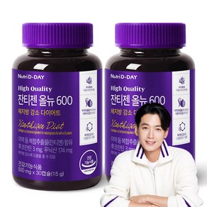 뉴트리디데이 잔티젠 올뉴 600 15g