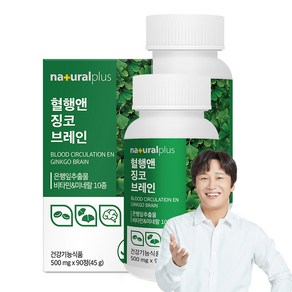 내츄럴플러스 혈행엔 징코 브레인 45g, 90정, 2개