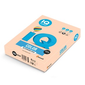 몬디 IQ Colo 다용도 색상용지 SA24 80g, A4, 1000매