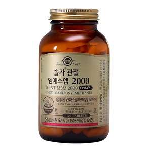 솔가 관절 엠에스엠 2000